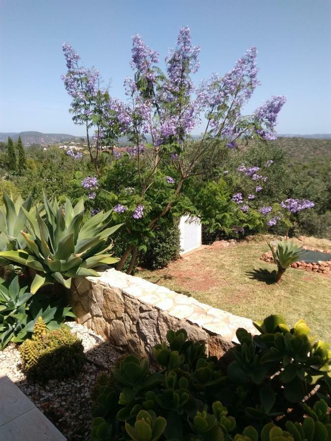 Casa Do Monte Villa Silves Luaran gambar